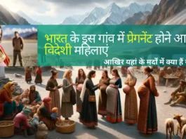 Aryan Village Ladakh Pregnancy Tourism