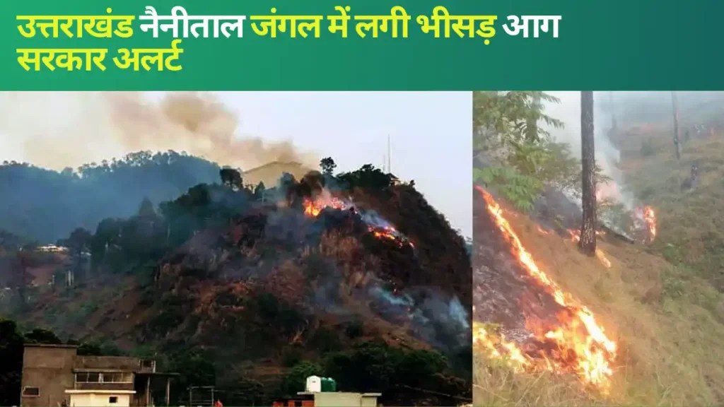 Nainital forest fire