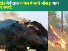 Nainital forest fire