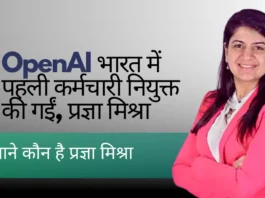 Pragya Misra OpenAI